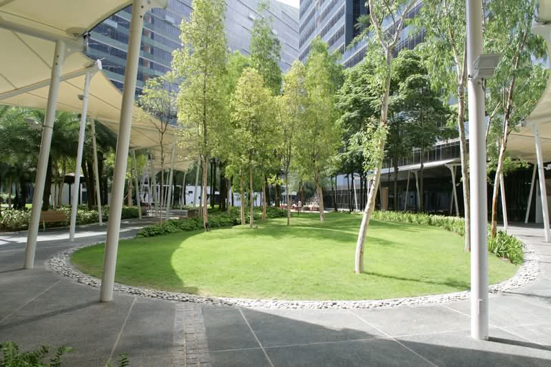 Orchard Scotts