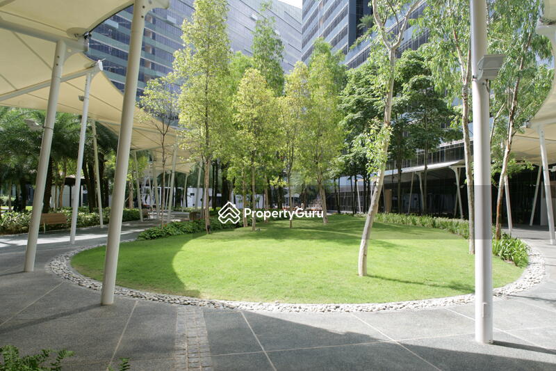 For Sale - Orchard Scotts