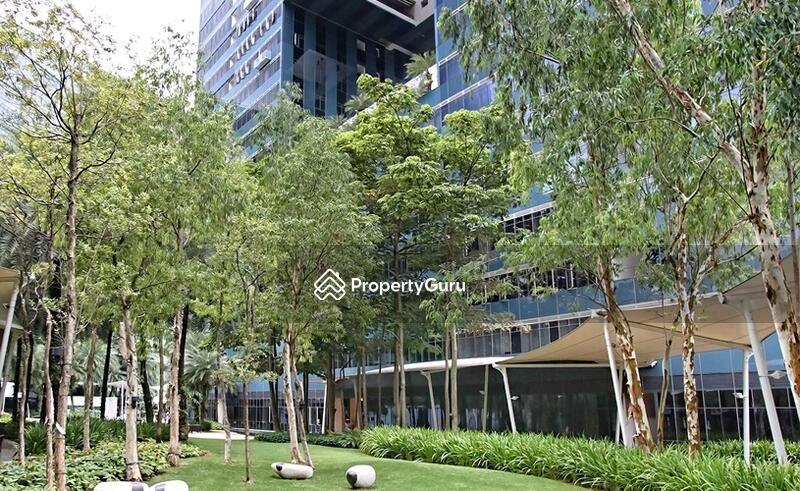 Landscaped Garden