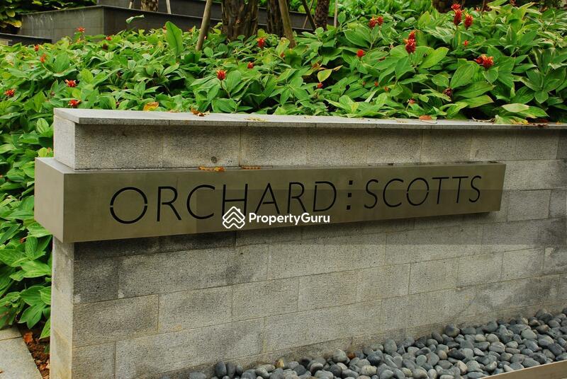 Orchard Scotts #0