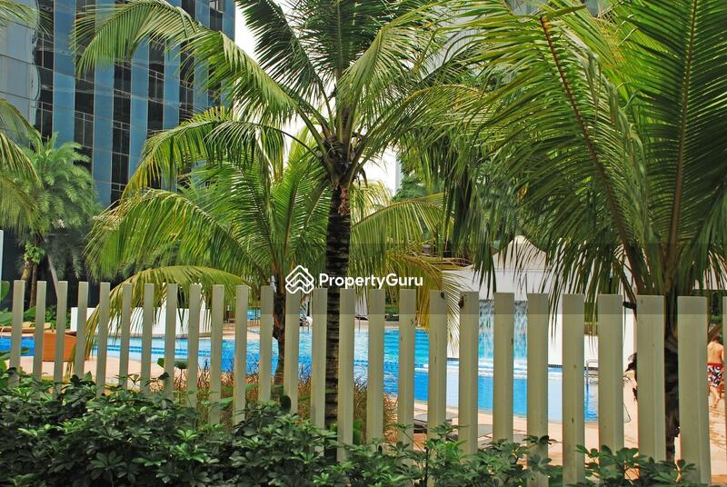 For Sale - Orchard Scotts