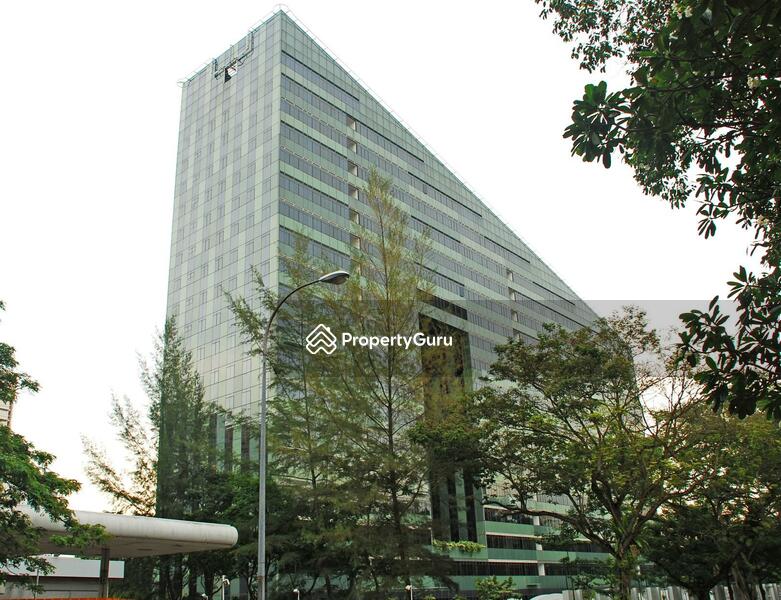 For Sale - Orchard Scotts