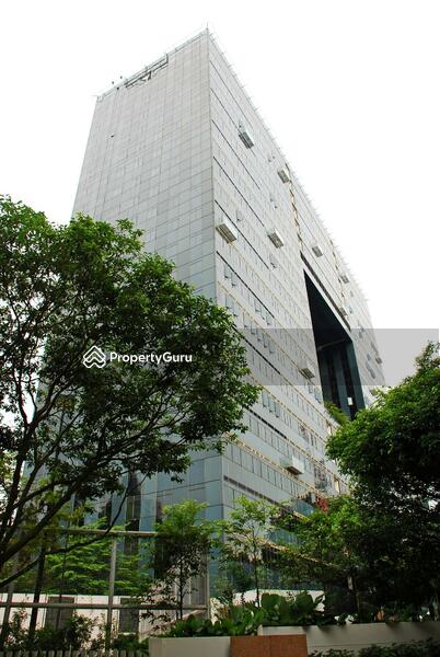 For Sale - Orchard Scotts