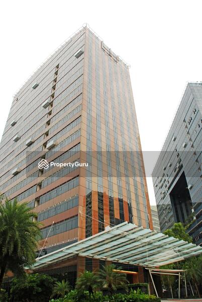 For Sale - Orchard Scotts