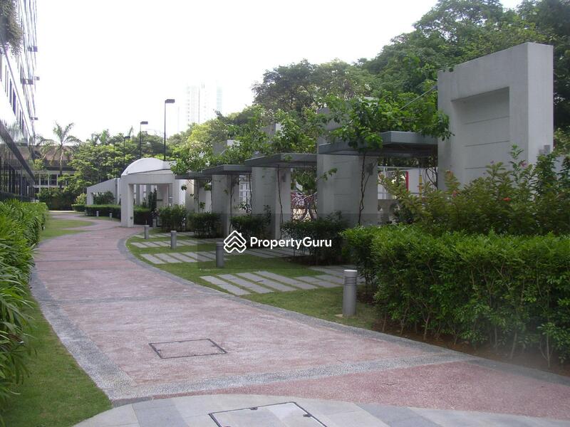 For Sale - Orchard Scotts