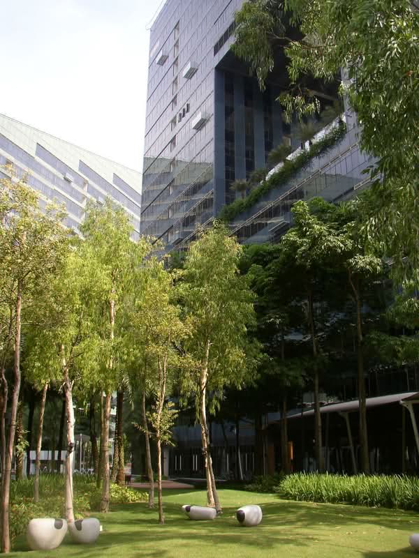 Orchard Scotts