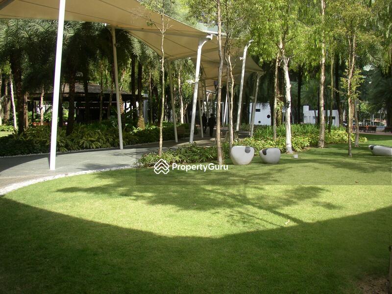 For Sale - Orchard Scotts