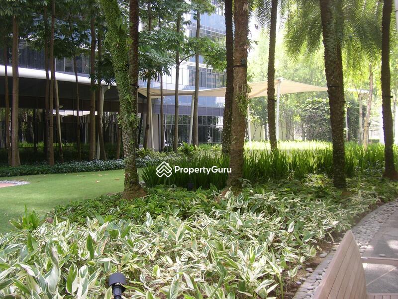For Sale - Orchard Scotts