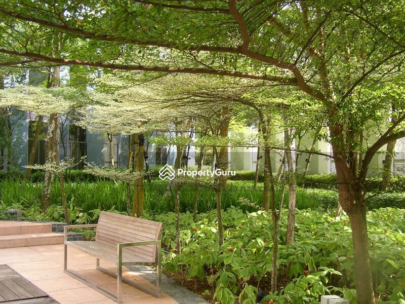 For Sale - Orchard Scotts