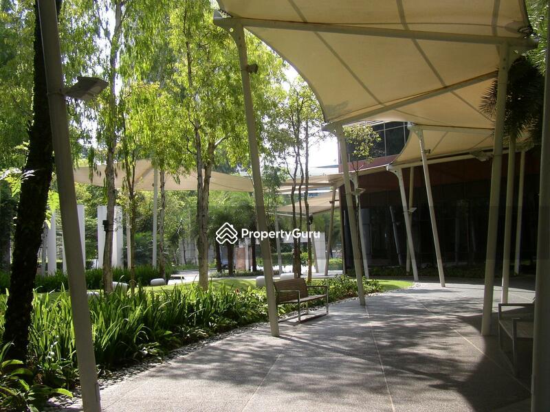 For Sale - Orchard Scotts