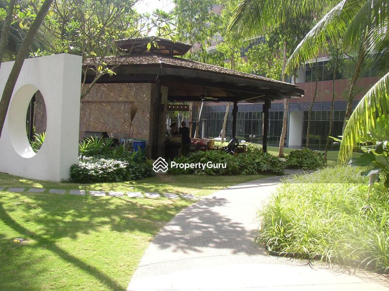 For Sale - Orchard Scotts