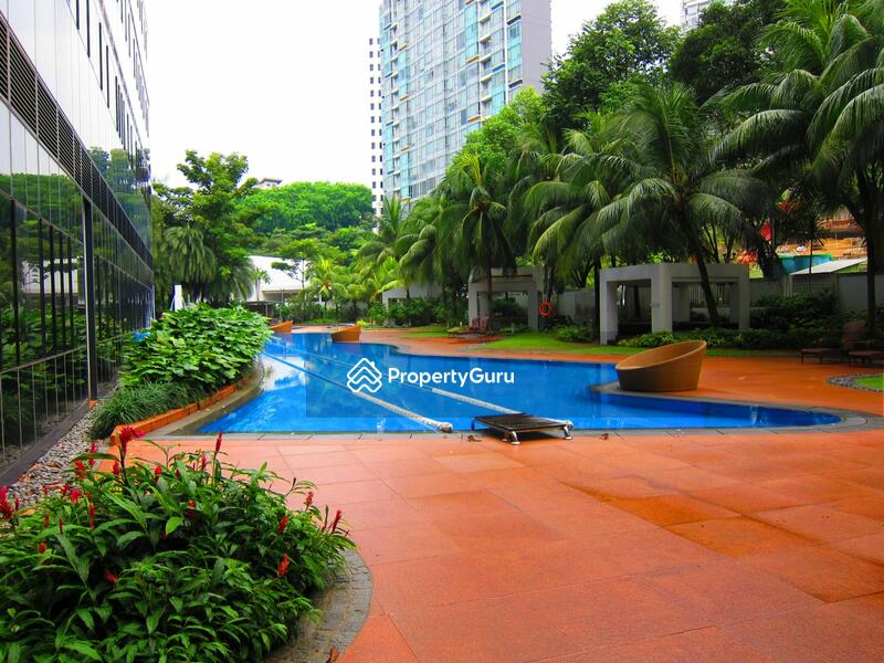 For Sale - Orchard Scotts