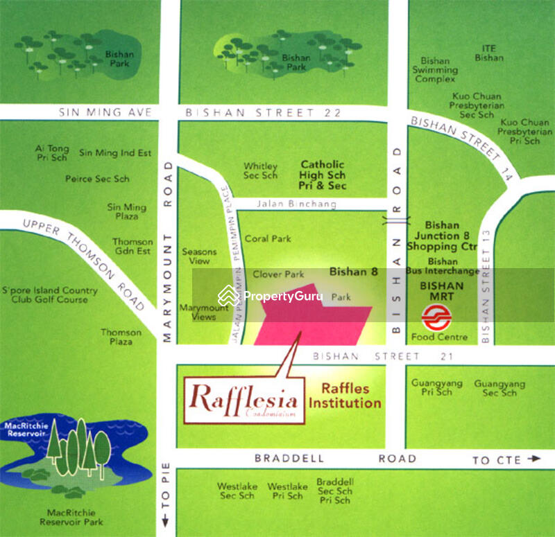 Rafflesia Condo #0