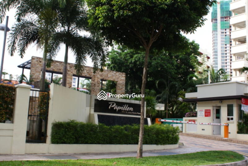 For Rent - Papillon