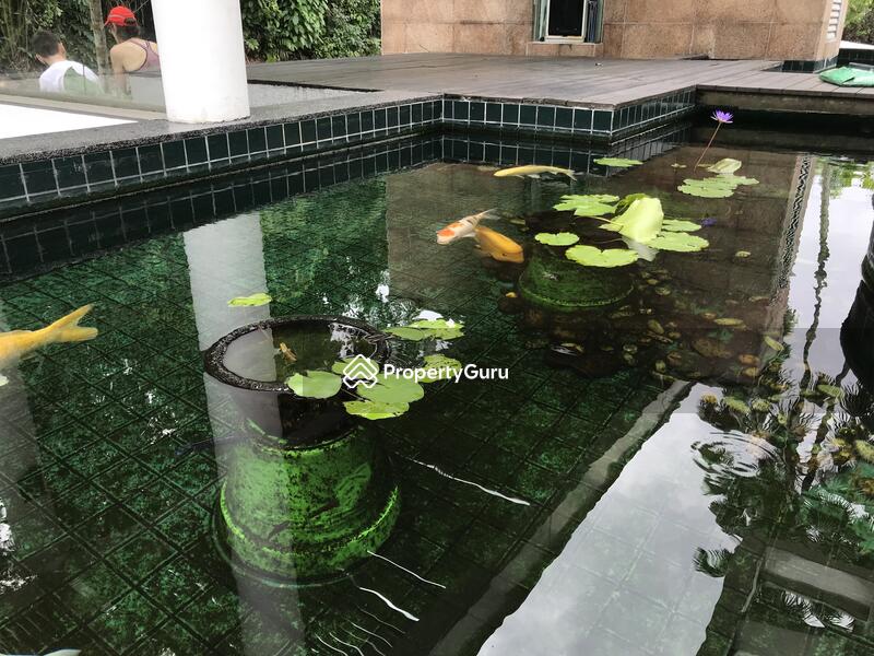 For Sale - Binjai Crest
