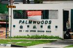 Palmwoods #0
