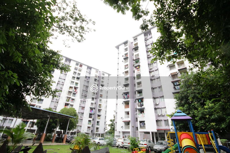 Playground View