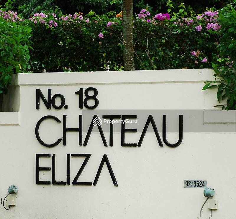 Chateau Eliza #0