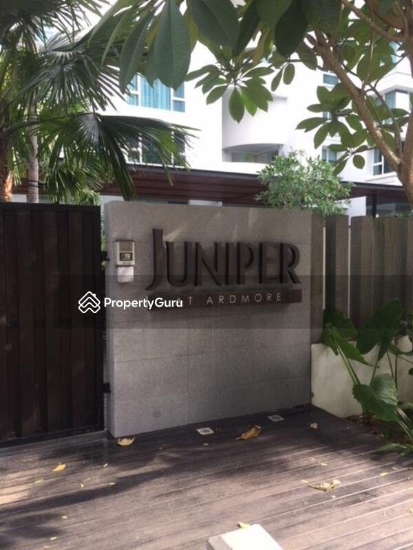 Juniper at Ardmore #0