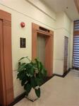 Lift Lobby