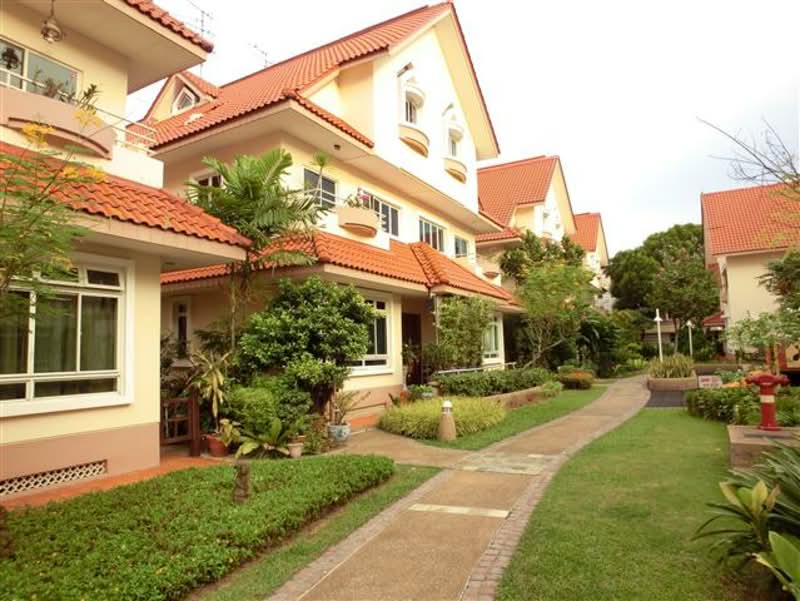 Sungrove