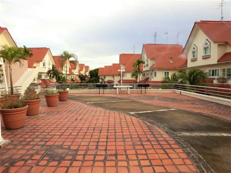 Sungrove