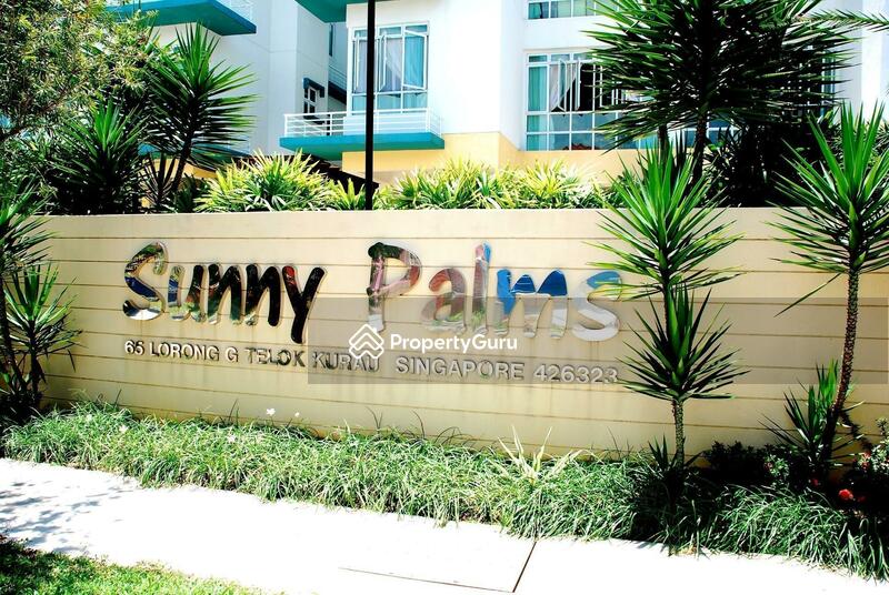 Sunny Palms #0