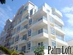 Palm Loft #0