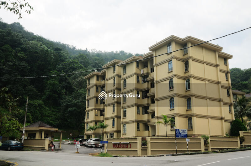 Road View