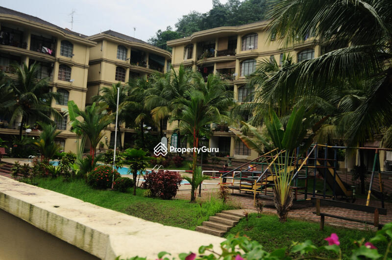 Playground View