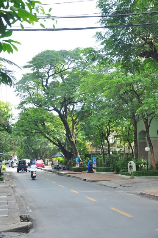 Raintree Villa : เรนทรี วิลล่า