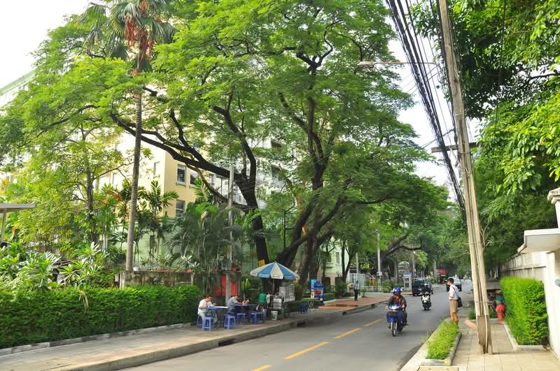 Raintree Villa : เรนทรี วิลล่า