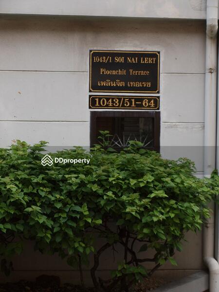 ขาย - Ploenchit Terrace : เพลินจิต เทอเรส, กรุงเทพ
