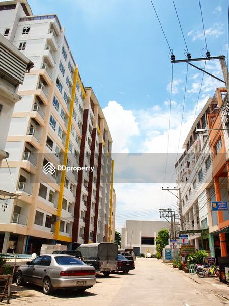 ขาย - Aliss Tiwanon : เอลิส ติวานนท์, นนทบุรี