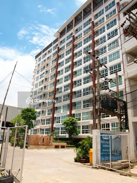 ขาย - Aliss Tiwanon : เอลิส ติวานนท์, นนทบุรี