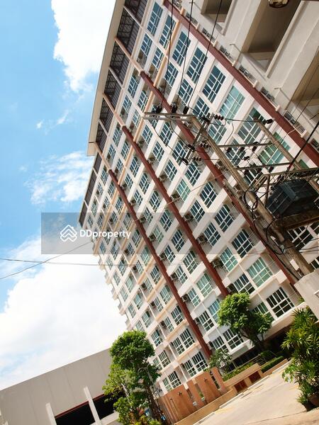 ขาย - Aliss Tiwanon : เอลิส ติวานนท์, นนทบุรี
