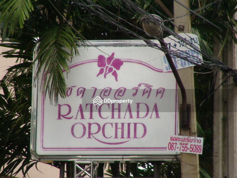 Ratchada Orchid #0