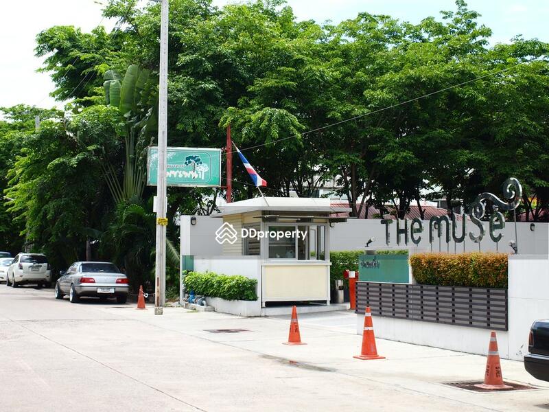ให้เช่า - The Muse Sukhumvit : เดอะ มิวส์ สุขุมวิท, กรุงเทพ