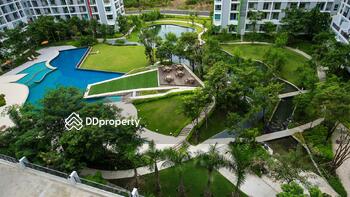 The Parkland Srinakarin : เดอะ พาร์คแลนด์ ศรีนครินทร์
