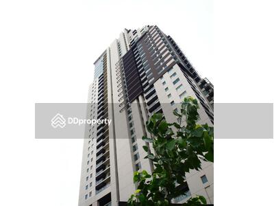 - The Madison : เดอะ เมดิสัน