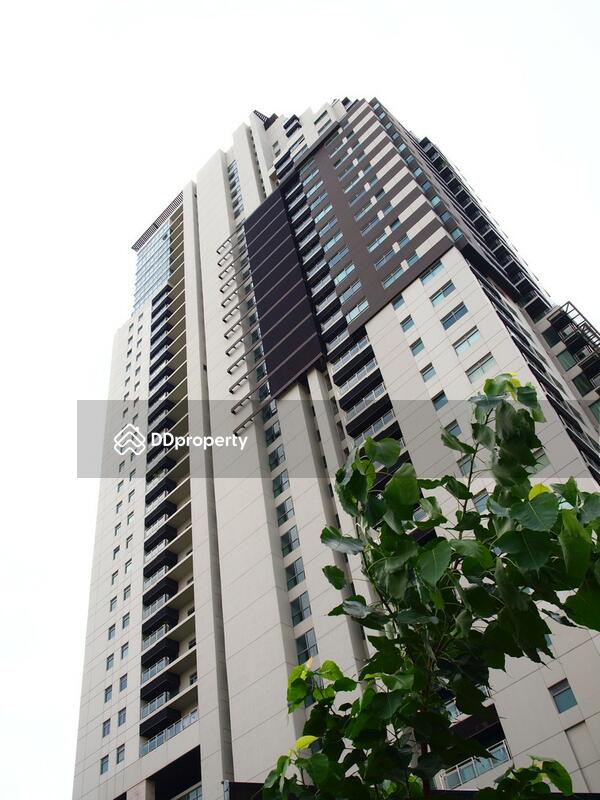 The Madison : เดอะ เมดิสัน #0