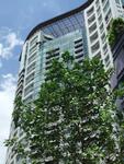 Urbana Langsuan : เออบาน่า หลังสวน #0