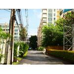 The Waterford Diamond Tower สุขุมวิท (เดอะวอเตอร์ฟอร์ด ไดมอน ทาวเวอร์ สุขุมวิท)