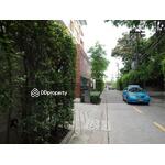 Ficus Lane : ไฟคัส เลน