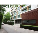 Ficus Lane : ไฟคัส เลน