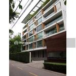 Ficus Lane : ไฟคัส เลน