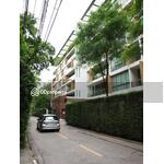 Ficus Lane : ไฟคัส เลน