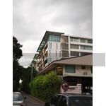 Ficus Lane : ไฟคัส เลน