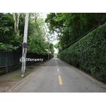 Ficus Lane : ไฟคัส เลน