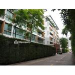 Ficus Lane : ไฟคัส เลน